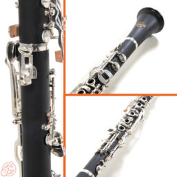 Alternative view of GEWA ROY BENSON Klarinette CG-220 | deutsch