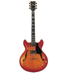 Alternative view of Yamaha SA-2200 E-Gitarre