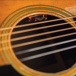 Alternative view of L.R.BAGGS Lyric Akustikgitarren Mikrofon