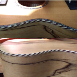 Alternative view of Tanglewood Concert-Ukulele TWT 11 | Massive Decke