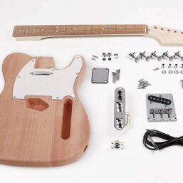 KIT-TE-15 | Boston Gitarren-Bausatz Teaser Modell