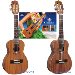 Alternative view of LEHO Celebration Ukulele Concert |vollmassiv