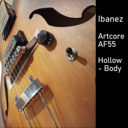 Alternative view of Ibanez Artcore AF55-TF