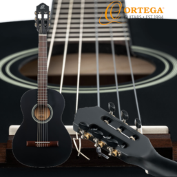 Alternative view of Ortega Classic Gitarre RST5M (oceanblue/black|3/4-4/4)