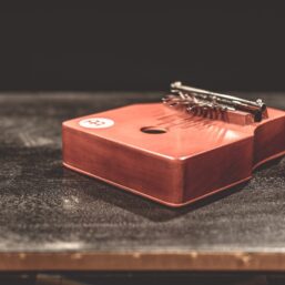 Alternative view of Meinl Percussion Kalimba mit Pickup | KA9P-AB