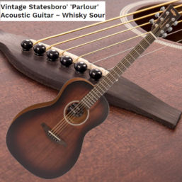 Vintage Acoustic | Paul Brett Signature