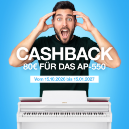 CELVIANO Casio AP-550 Digitalpiano
