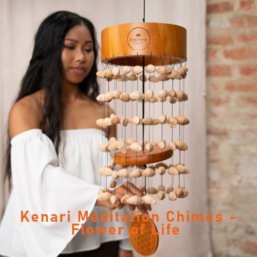 MEINL Sonic Energy Kenari Meditation Chimes