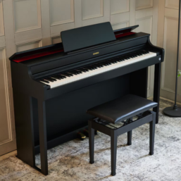 Alternative view of CELVIANO Casio AP-300 Digitalpiano