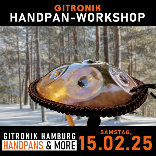 Handpan-Starter*innen-Workshop | 15.02.25| ausgebucht