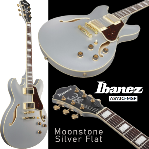 Ibanez Hollow Body Gitarre AS73G