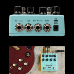 Alternative view of NUX DUOTIME Delay|Looper