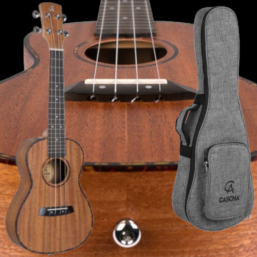 Cascha Premium Mahagony Konzert Ukulele