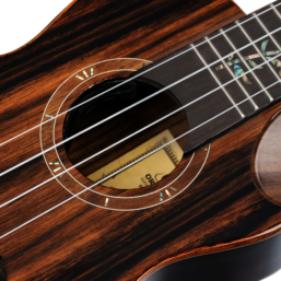 Alternative view of ORTEGA Elite| Konzert Ukulele 4 String- Solid Ebony