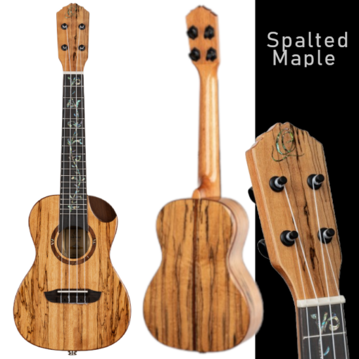 ORTEGA Elite| Konzert Ukulele | spalted maple