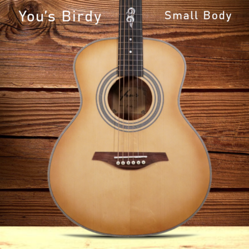 You´s Birdy Akustik Reisegitarre| small Body