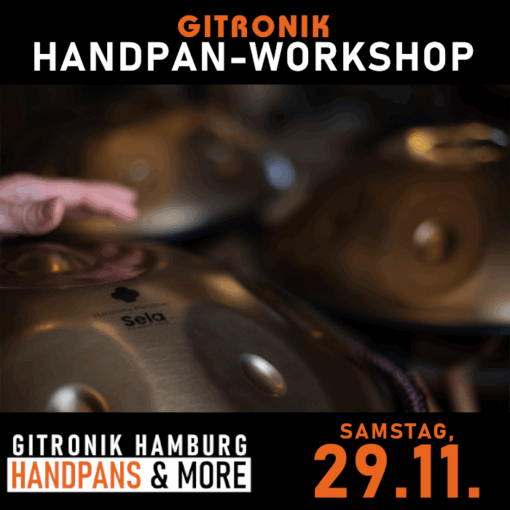 Handpan-Starter*innen-Workshop | 29.11.25