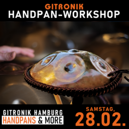 Handpan-Starter*innen-Workshop | 28.02.2026