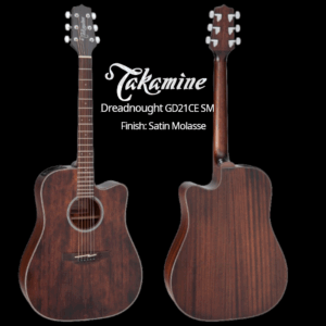 TAKAMINE Akustikgitarre,Special G | TAGD21CESM