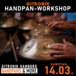 Handpan-Starter*innen-Workshop | 14.03.2026