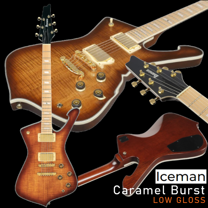 IBANEZ Iceman E-Gitarre – Bild 2
