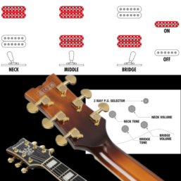 Alternative view of IBANEZ Artcore Expressionist|Semi Hollow Body Gitarre