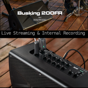 NUX Busking 200FR 3-Kanal Outdoor Box | (Akku+Netz)