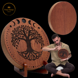 MEINL Sonic Energy Rain Disk