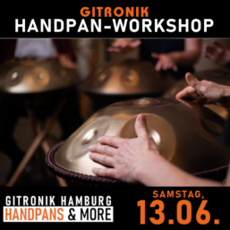 Handpan-Starter*innen-Workshop | 13.06.2026