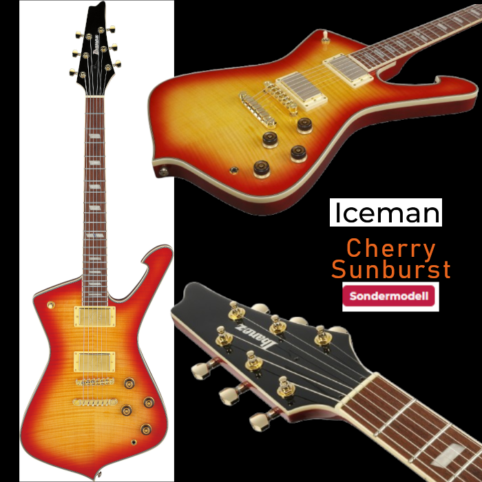 IBANEZ Iceman E-Gitarre – Bild 6