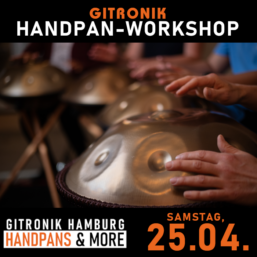 Handpan-Starter*innen-Workshop | 25.04.2026