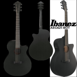 Ibanez AEG 621-BOT Akustik-Gitarre