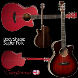 Tanglewood TW4CE AVB Winterleaf