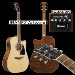 IBANEZ Artwood AW417CE-OPS| Wide Neck 48mm