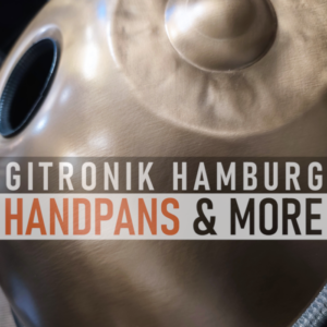 GITRONIK Custom Handpan D-Kurd 9+2 | Hz:440 | Bottom Notes