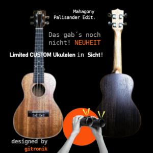 CUSTOM Concert Ukulele LTD.Edit.