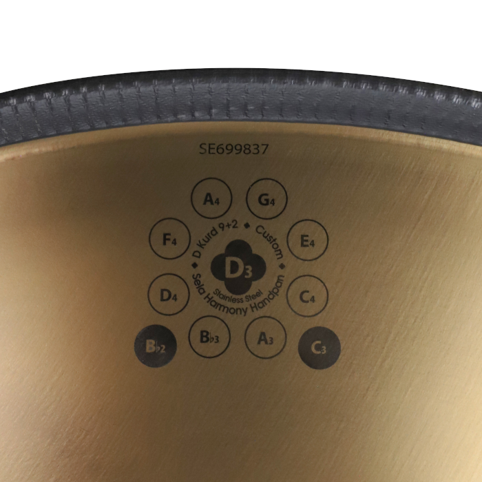 GITRONIK Custom Handpan D-Kurd 9+2 (Bb2|C3) new generation 2026 – Bild 4