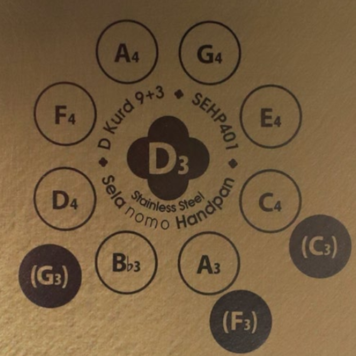 SELA Nomo Handpan D Kurd 9 +3 – Bild 2