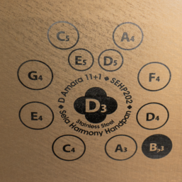 Alternative view of SELA Harmony Handpan D Amara 11+1