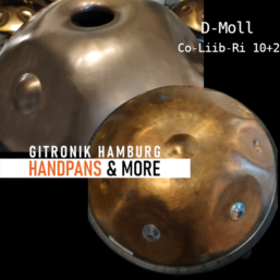 Alternative view of Baur&Brown Handpan D-Collibri | 10+2 Bottom FG