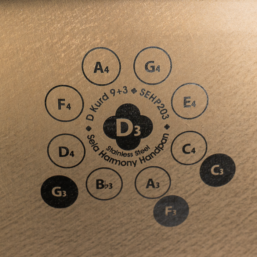 Alternative view of SELA Harmony Handpan D Kurd 9+3