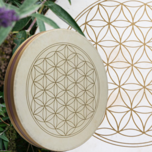 Meinl Sonic Energy Flower of Life Wave Drum (Oceandrum)