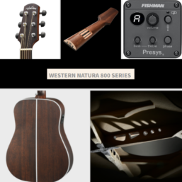 Alternative view of WALDEN Westerngitarre| Dreadnought | vollmassiv | EQ