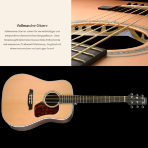 WALDEN Westerngitarre| Dreadnought | vollmassiv | EQ