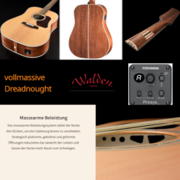 WALDEN Westerngitarre, Dreadnought 740| vollmassiv| EQ