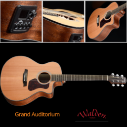 WALDEN Westerngitarre, Grand Auditorium 570