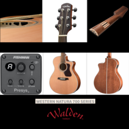 Alternative view of WALDEN Westerngitarre| Grand Auditorium | vollmassiv | EQ
