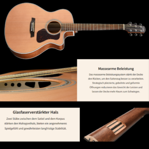 WALDEN Westerngitarre| Grand Auditorium | vollmassiv | EQ