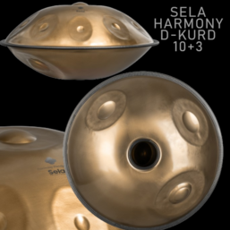 Alternative view of SELA Harmony Handpan D Kurd 10+3