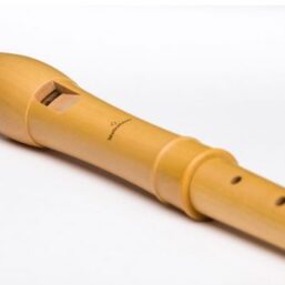 Mollenhauer Canta Alt-Flöte 2206